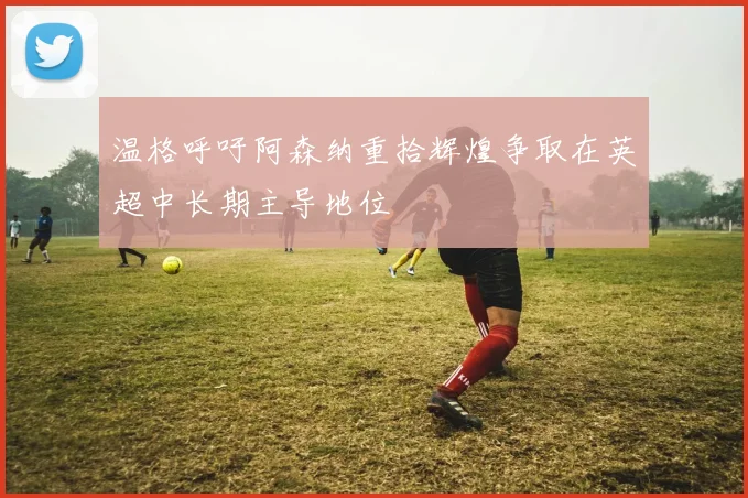 温格呼吁阿森纳重拾辉煌争取在英超中长期主导地位