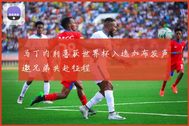 马丁内利喜获世界杯入选加布发声邀兄弟共赴征程